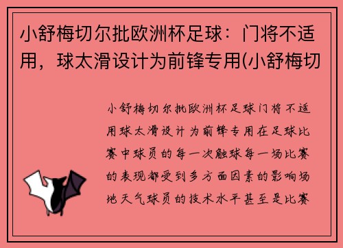 小舒梅切尔批欧洲杯足球：门将不适用，球太滑设计为前锋专用(小舒梅切尔厉害吗)