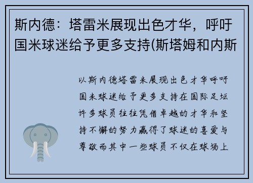 斯内德：塔雷米展现出色才华，呼吁国米球迷给予更多支持(斯塔姆和内斯塔)