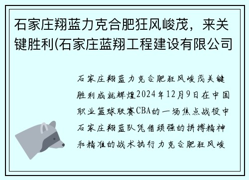 石家庄翔蓝力克合肥狂风峻茂，来关键胜利(石家庄蓝翔工程建设有限公司)